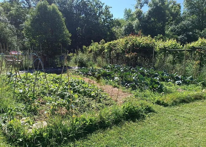 Moulin De Montizeau 3*